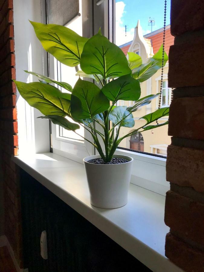 Apartament Odrzanka Gryfino Exteriér fotografie